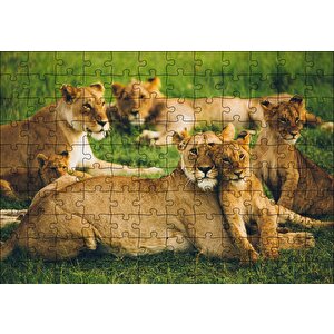 Çayırda Dişi Aslanlar Ve Yavruları Puzzle Yapboz Mdf Ahşap 120 Parça