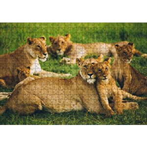 Cakapuzzle  Çayırda Dişi Aslanlar Ve Yavruları Puzzle Yapboz Mdf Ahşap