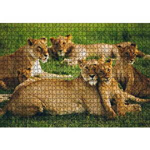 Çayırda Dişi Aslanlar Ve Yavruları Puzzle Yapboz Mdf Ahşap 1000 Parça