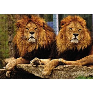 İki Aslan Puzzle Yapboz Mdf Ahşap 255 Parça