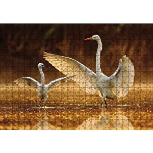 Balıkçıl Kuş Ve Yavrusu Puzzle Yapboz Mdf Ahşap 500 Parça