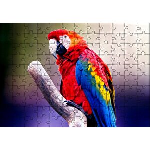 Kırmızı Tüylü Papağan Puzzle Yapboz Mdf Ahşap 120 Parça