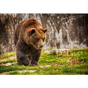 Boz Ayı Ormanda Puzzle Yapboz Mdf Ahşap 120 Parça