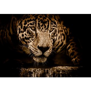 Jaguar Pusuda Yakın Plan Puzzle Yapboz Mdf Ahşap 500 Parça