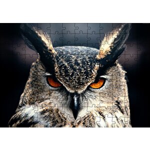 Baykuş Kalın Kaşlar Yakın Çekim Puzzle Yapboz Mdf Ahşap 120 Parça