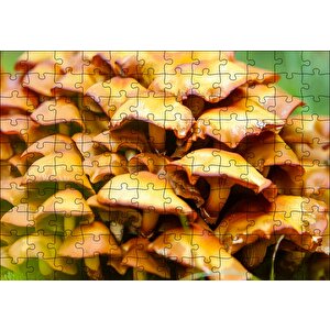 Sarı Mantarlar Puzzle Yapboz Mdf Ahşap 120 Parça
