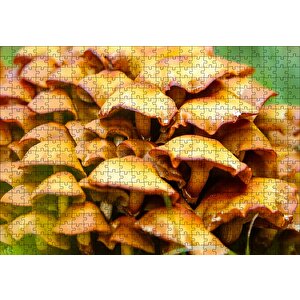 Sarı Mantarlar Puzzle Yapboz Mdf Ahşap 500 Parça