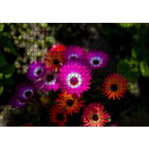 Afrika Papatyaları Puzzle Yapboz Mdf Ahşap 1000 Parça