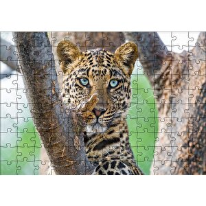 Ağaç Dallarında Genç Leopar Puzzle Yapboz Mdf Ahşap 120 Parça