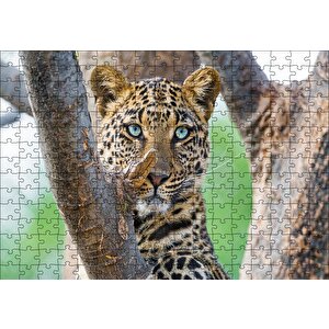 Ağaç Dallarında Genç Leopar Puzzle Yapboz Mdf Ahşap 255 Parça