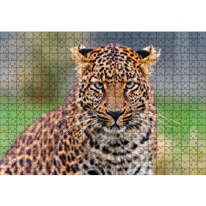 Genç Leopar Puzzle Yapboz Mdf Ahşap 500 Parça