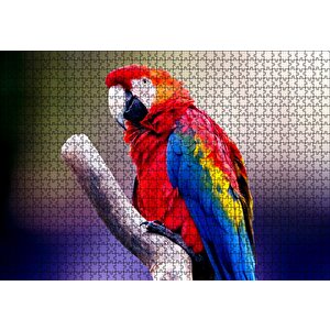 Kırmızı Tüylü Papağan Puzzle Yapboz Mdf Ahşap 1000 Parça