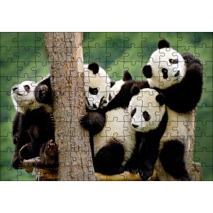 Dalda Oynayan Yavru Pandalar Puzzle Yapboz Mdf Ahşap 120 Parça