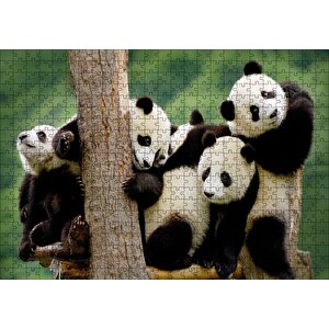 Dalda Oynayan Yavru Pandalar Puzzle Yapboz Mdf Ahşap 500 Parça