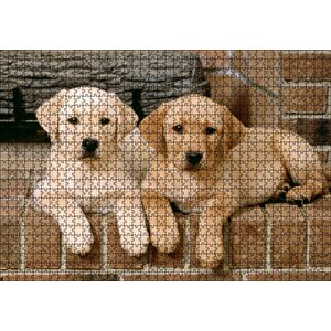 Şöminenin Önünde İki Labrador Yavrusu Puzzle Yapboz Mdf Ahşap 1000 Parça