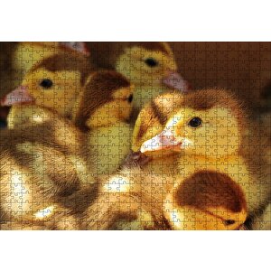 Ördek Yavruları Puzzle Yapboz Mdf Ahşap 500 Parça