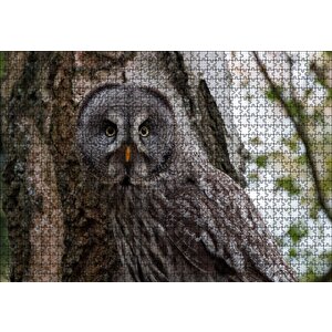 Karlı Ormanda Ağacın Önündeki Baykuş Puzzle Yapboz Mdf Ahşap 1000 Parça