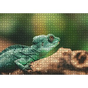 Mango Kökü Üzerindeki Yeşil Kertenkele Puzzle Yapboz Mdf Ahşap 1000 Parça