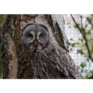 Karlı Ormanda Ağacın Önündeki Baykuş Puzzle Yapboz Mdf Ahşap 500 Parça