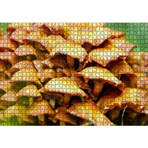 Sarı Mantarlar Puzzle Yapboz Mdf Ahşap 1000 Parça