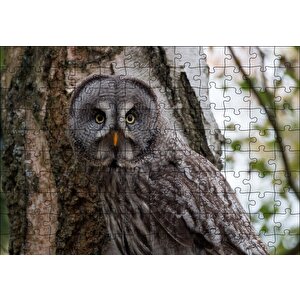 Karlı Ormanda Ağacın Önündeki Baykuş Puzzle Yapboz Mdf Ahşap 120 Parça