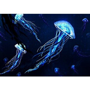 Karanlık Sular Neon Denizanaları Puzzle Yapboz Mdf Ahşap 500 Parça