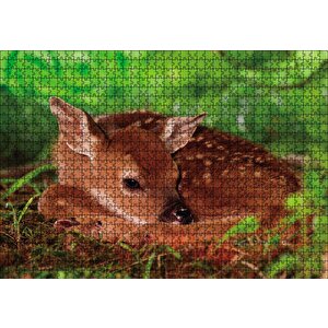 Ceylan Yavru Puzzle Yapboz Mdf Ahşap 1000 Parça