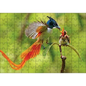 Sinekkapan Kuşu Yavrusunu Besliyor Puzzle Yapboz Mdf Ahşap 120 Parça
