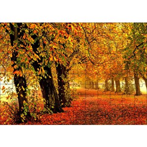Sonbahar Orman Yolu Ve Yapraklar Puzzle Yapboz Mdf Ahşap 120 Parça