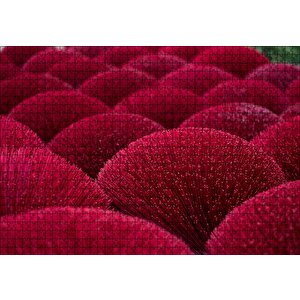 Kırmızı Dekoratif Küresel Objeler Puzzle Yapboz Mdf Ahşap 1000 Parça
