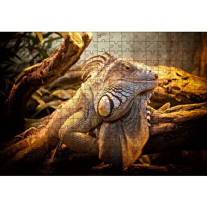 Dev Kertenkele Ve Güneş Işıkları Puzzle Yapboz Mdf Ahşap 255 Parça