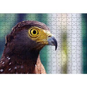 Kartal Yakın Plan Puzzle Yapboz Mdf Ahşap 255 Parça