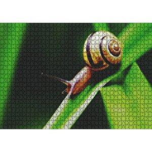 Yeşil Yaprak Üzerindeki Salyangoz Yakın Çekim Puzzle Yapboz Mdf Ahşap 1000 Parça