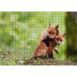 Çayırda Birbiriyle Oynayan Yavru Tilkiler Puzzle Yapboz Mdf Ahşap 500 Parça