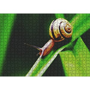 Yeşil Yaprak Üzerindeki Salyangoz Yakın Çekim Puzzle Yapboz Mdf Ahşap 500 Parça