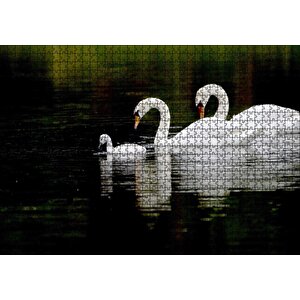 Gölde Yüzen Bir Çift Kuğu Ve Yavruları Puzzle Yapboz Mdf Ahşap 1000 Parça