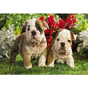 Yavru Bulldogs Puzzle Yapboz Mdf Ahşap 255 Parça