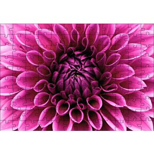 Pembe Dahlia Çiçeği Yakın Plan Puzzle Yapboz Mdf Ahşap 120 Parça