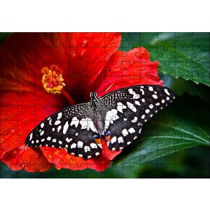 Gülhatmi Çiçeği Ve Siyah Beyaz Kelebek Puzzle Yapboz Mdf Ahşap 120 Parça