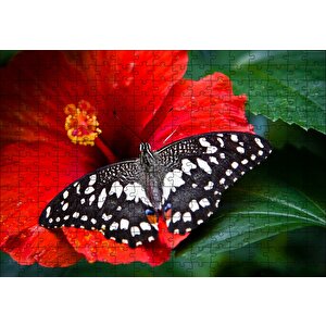 Gülhatmi Çiçeği Ve Siyah Beyaz Kelebek Puzzle Yapboz Mdf Ahşap 255 Parça