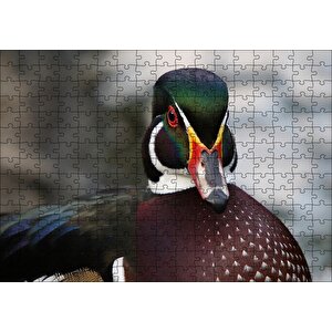 Yeşil Başlı Ördek Yakın Plan Puzzle Yapboz Mdf Ahşap 255 Parça