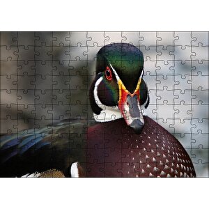 Yeşil Başlı Ördek Yakın Plan Puzzle Yapboz Mdf Ahşap 120 Parça