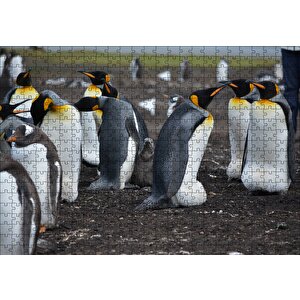 İmparator Penguenleri Ve Yavru Puzzle Yapboz Mdf Ahşap 500 Parça