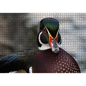 Yeşil Başlı Ördek Yakın Plan Puzzle Yapboz Mdf Ahşap 1000 Parça