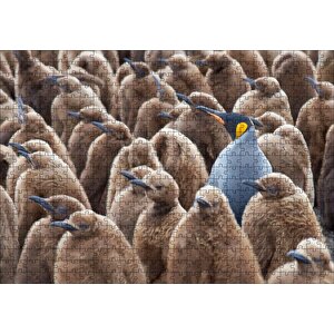 Yetişkin Kral Penguven Ve Yavru Penguenler Görseli Puzzle Yapboz Mdf Ahşap 500 Parça