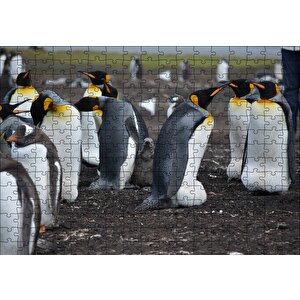 İmparator Penguenleri Ve Yavru Puzzle Yapboz Mdf Ahşap 255 Parça