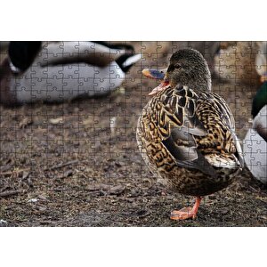 Tek Ayak Üzerinde Duran Ördek Yavrusu Puzzle Yapboz Mdf Ahşap 255 Parça