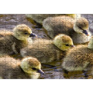 Gölde Yüzen Sarı Ördek Yavruları Puzzle Yapboz Mdf Ahşap 255 Parça