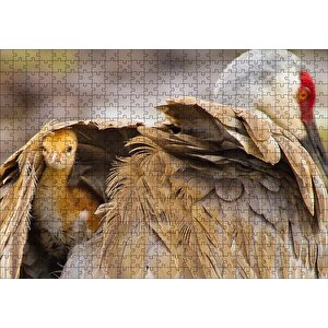 Akbaba Kanatları Arasında Yavrusu Puzzle Yapboz Mdf Ahşap 500 Parça