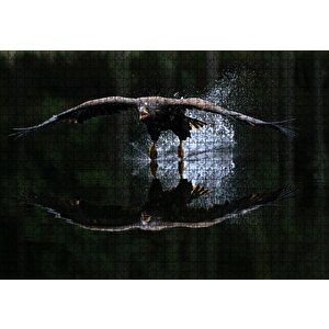 Avlanan Balıkçı Kartalı Puzzle Yapboz Mdf Ahşap 1000 Parça